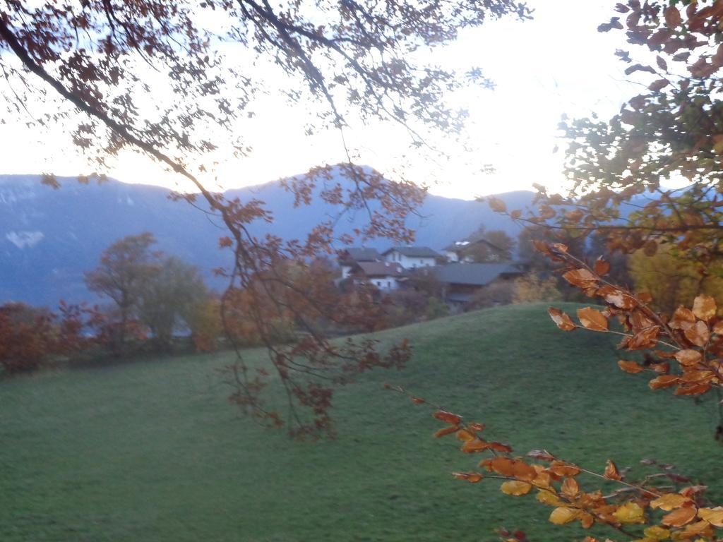 Pitterle Hof Villa Meltina Luaran gambar