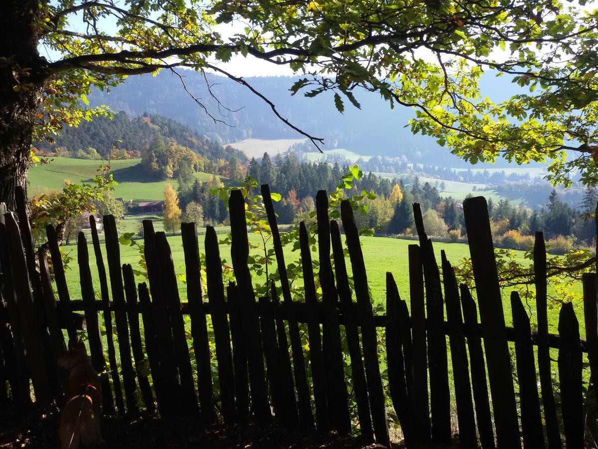 Pitterle Hof Villa Meltina Luaran gambar