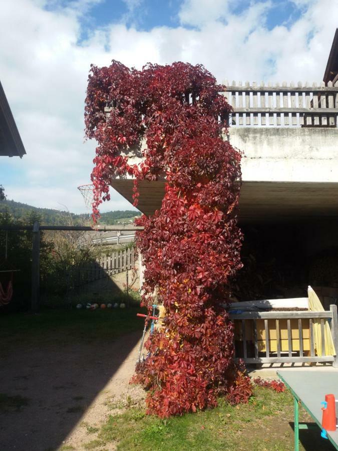 Pitterle Hof Villa Meltina Luaran gambar
